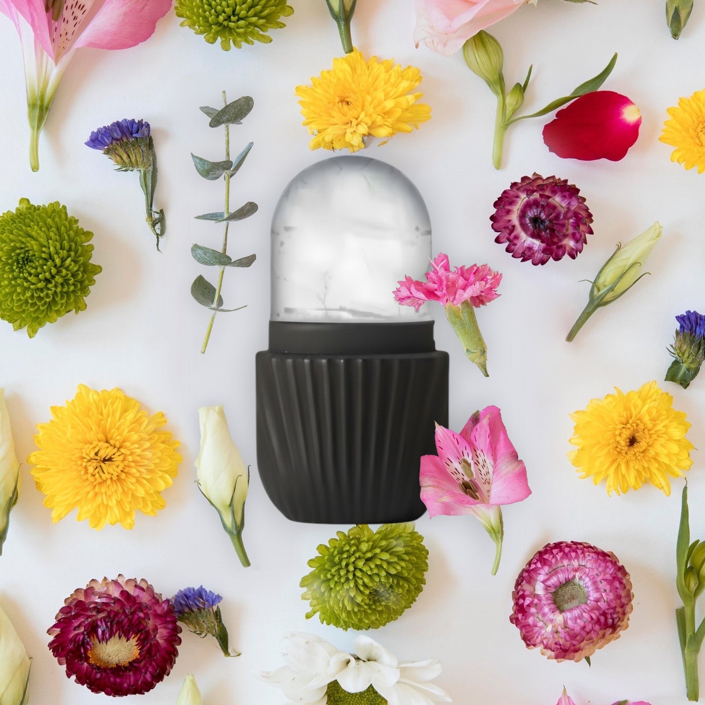 Ice Face Roller & Gua Sha Set